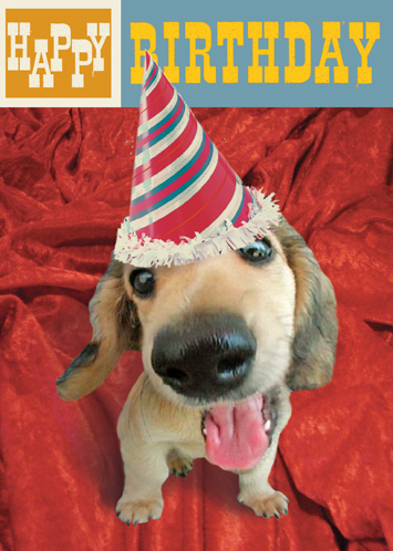Happy Birthday Bassett Dog Greeting Card by Max Hernn